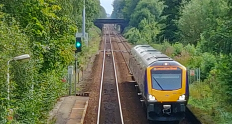 ash dieback railways