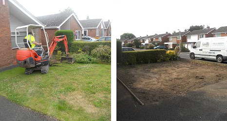 Stump Removal and Hedge Maintenance