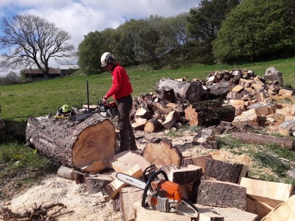 logging_seasoned_welsh_hardwood_ready_for_this_winter After