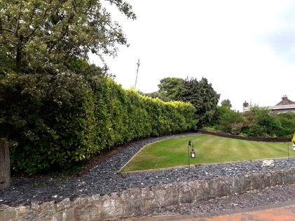 hedge_cutting_in_north_wales After