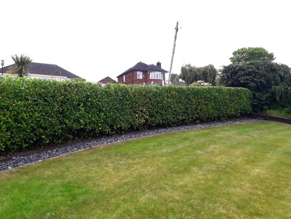 hedge_cutting_in_north_wales After