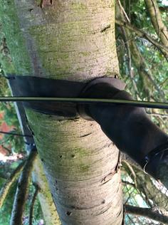 tree_surgery_removing_branches_affecting_a_bt_cable After