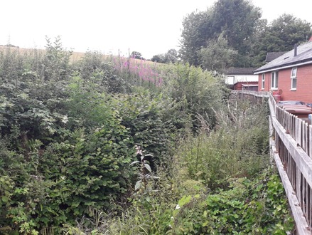 to_clear_stream_banks_of_vegetation_and_cut_the_hedge After