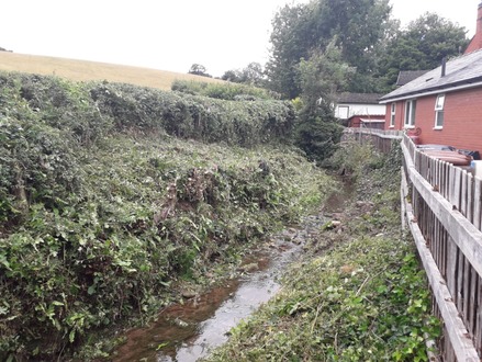 to_clear_stream_banks_of_vegetation_and_cut_the_hedge After