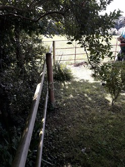 replacing_an_old_rotten_fence_with_a_new_one After
