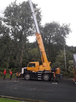 dismantle_of_4_trees_3_with_ash_dieback After