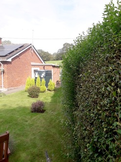 hedge_cutting After