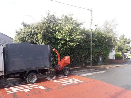 2nd_day_removal_of_cherry_tree_and_conifers After