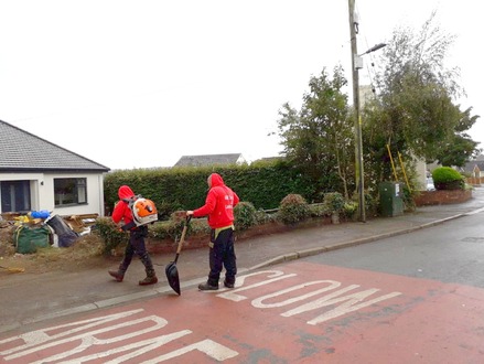 2nd_day_removal_of_cherry_tree_and_conifers After