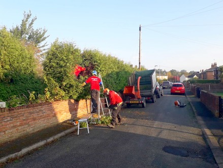 hedge_cutting After