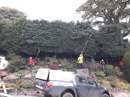 hedge_cutting_high_conifer_hedges After
