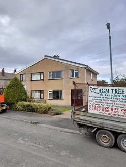 dismantling_a_conifer_tree_that_was_damaging_a_driveway After