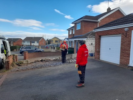 to_cut_down_and_remove_a_conifer_hedge After