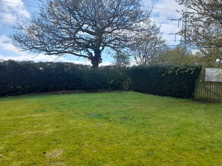 reduction_of_a_laurel_hedge_and_conifers After