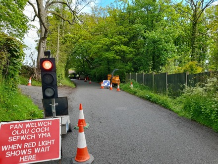 roadside_work_to_remove_dead_wood_from_oaks After