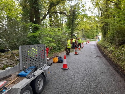 roadside_work_to_remove_dead_wood_from_oaks After