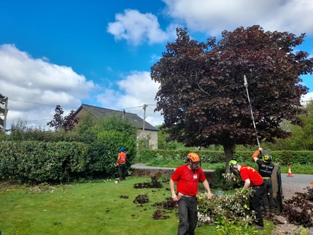 crown_reductions_hedge_cutting_and_tidy_up After