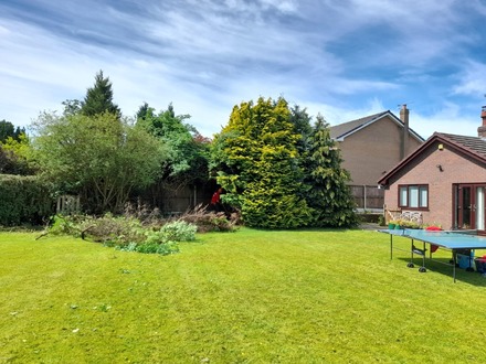 removal_of_conifers_and_hedge_cutting After