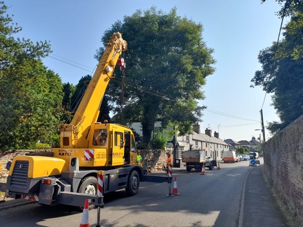 dismantling_an_ash_tree_with_ash_die_back After