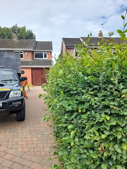 a_hedge_reduction After