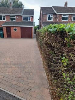 a_hedge_reduction After