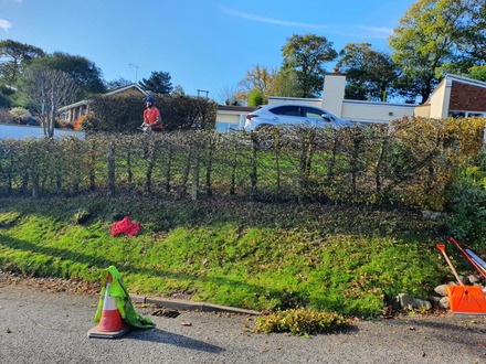 hedge_reduction After