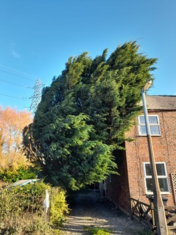 wind_blown_conifer_against_property_emergency_call_out After