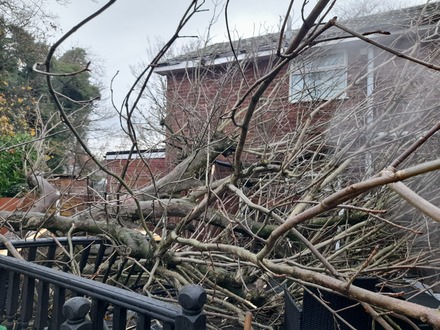 emergency_call_out_limb_from_horse_chestnut_smashed_decking_lights After