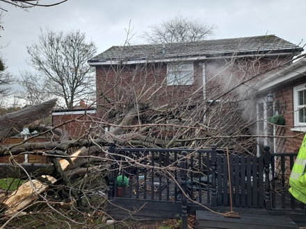 emergency_call_out_limb_from_horse_chestnut_smashed_decking_lights After