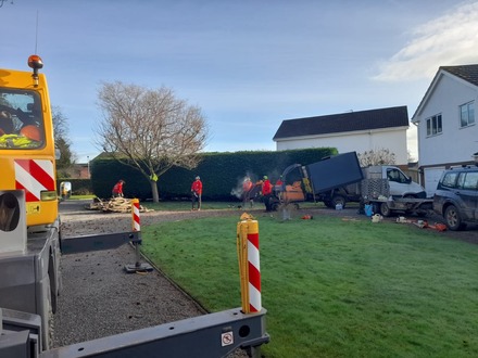 dismantling_a_dead_cedar_with_a_crane After