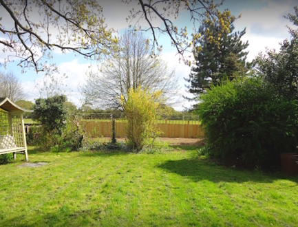 take_down_20_conifers_and_build_new_fence After