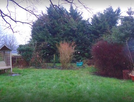 take_down_20_conifers_and_build_new_fence After