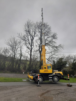 two_ash_die_back_take_downs_in_north_wales After