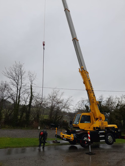 two_ash_die_back_take_downs_in_north_wales After