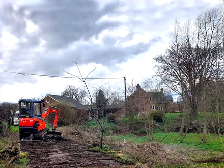 to_dismantle_3_large_willow_trees_in_malpas After