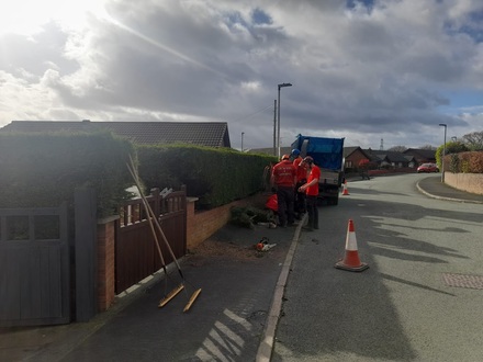 hedge_removal_and_new_fence_build After