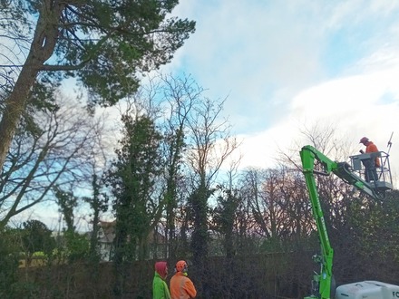 hedge_cutting_using_the_skylift_to_complete_the_job After