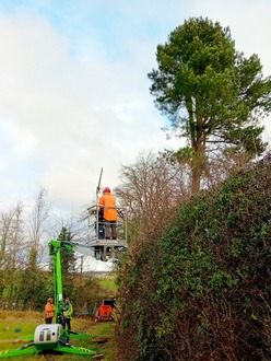 hedge_cutting_using_the_skylift_to_complete_the_job After