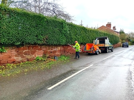 large_hedge_cutting After