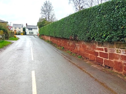 large_hedge_cutting After