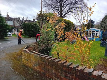 cutting_various_small_trees_and_shrubs_back After