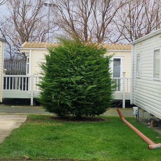 conifer_shaping_at_a_holiday_park After