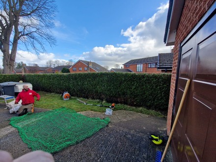 hedge_cutting_and_reduction_of_trees After