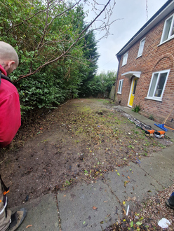 hedge_maintenance_and_turfing After