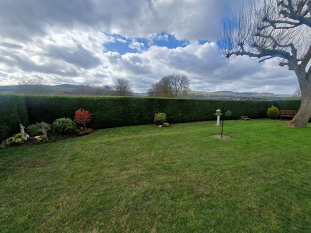 hedge_cutting After