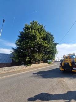 heavy_tree_reduction After