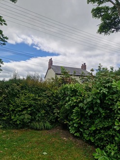 remove_wind_damaged_tree_stump After