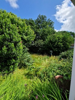 massive_garden_clearance After