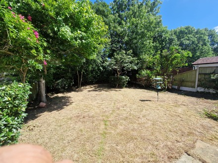 massive_garden_clearance After