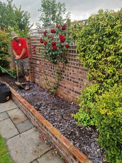 gardening_flower_border_revamp After